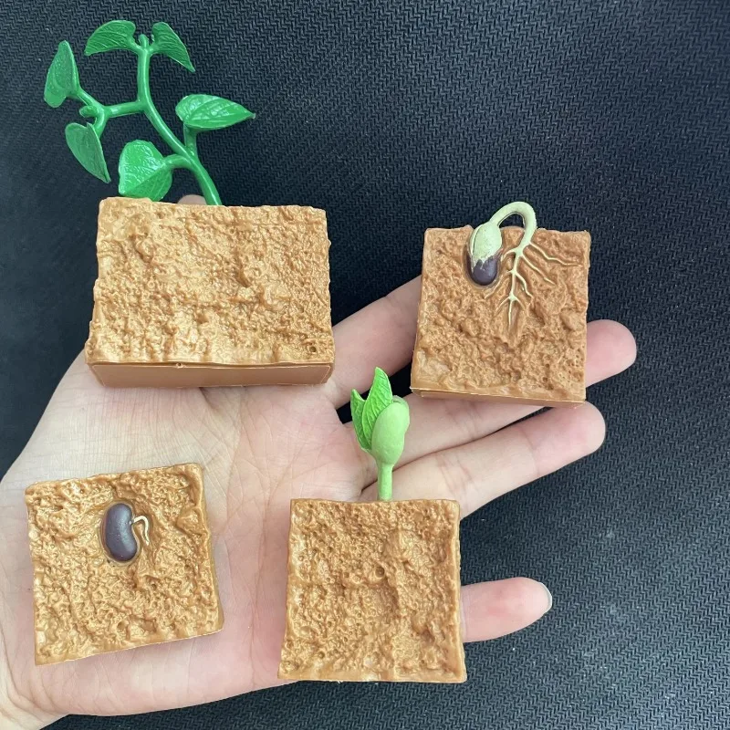 ของเล่นเด็กแบบจำลองทางชีววิทยาของเล่นรูปสัตว์พืชวงจรการเจริญเติบโตของมอนเตสซอรี่ชุดของเล่นเด็กสำหรับการสอนของเล่นเพื่อการศึกษา