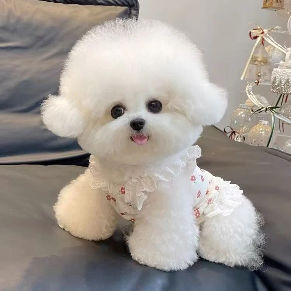 Fashion Bow Dog Vest Summer Suspender Dog Dress Clothes Floral Cat Shirt Cute Lace Cat Flying Sleeves Vest Bichon Pet Costume view 5