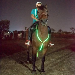 Arnés de caballo fácil de LED hecho con nailon para un uso cómodo, cómodo de llevar, seguro y fiable