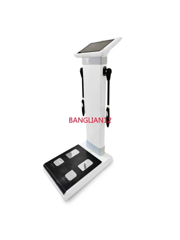 

English version Touch screen professional body composition analyzer, gym fitness detector