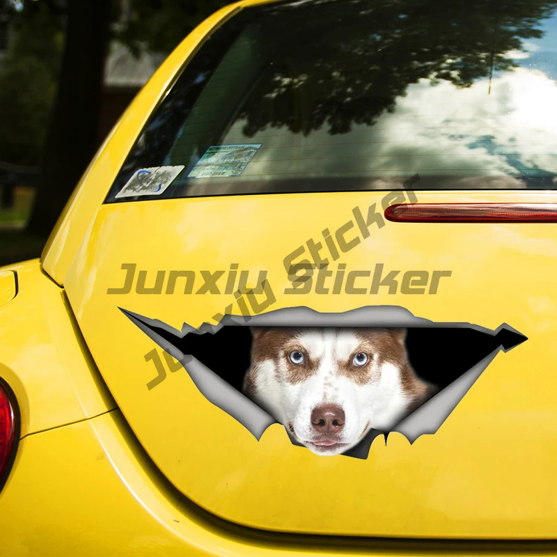 

Brown Husky Decal Funny Car Sticker Waterproof Auto Decors on Bumper Rear Window Laptop Choose Size