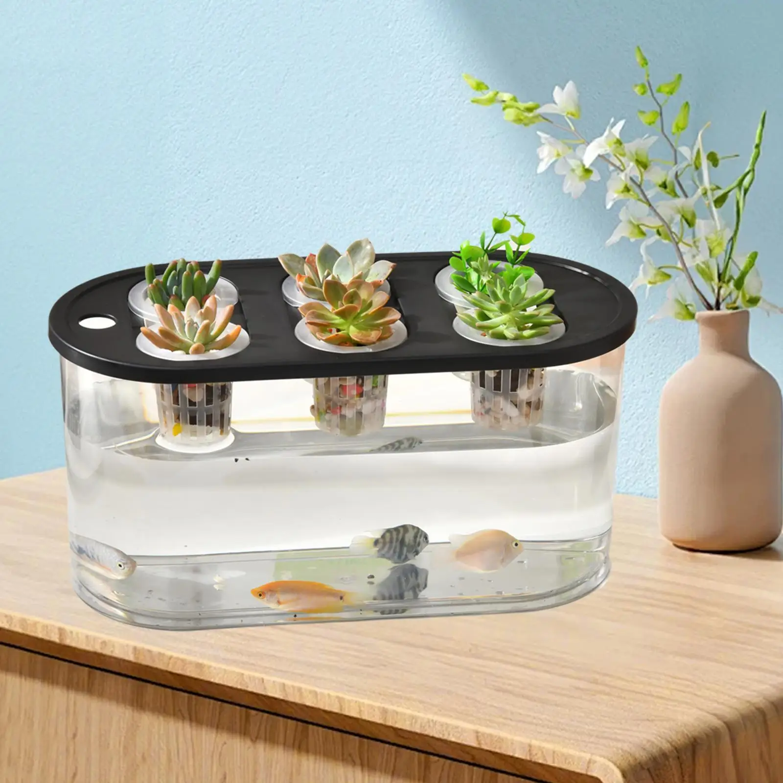 Hydroponics Grower Box Hydroponics Tool with 6 Holes Indoor Tabletop Mini Aquarium Rectangular Planter Container for Home