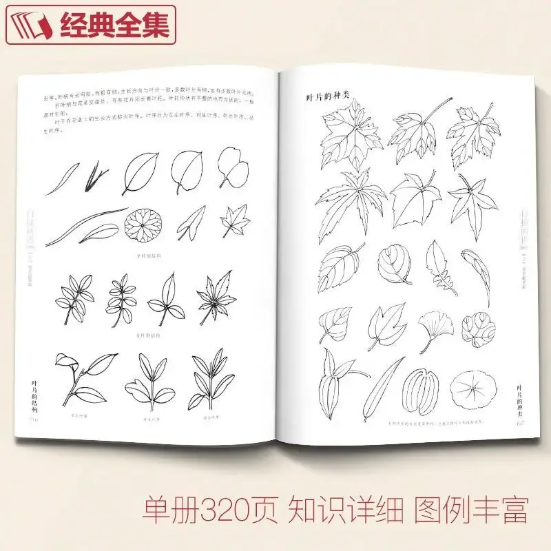 Collection of 5000 Chinese Line Drawings One Flower Coloring Book Adult Art Reference Book 16K