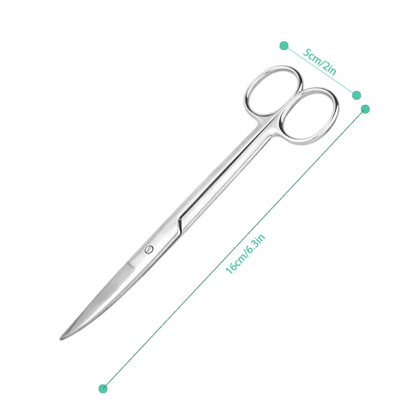 16cm Straight and Curved Stainless Steel Hemostatic Forceps Medical Dental Surgical Scissors Stainless Steel Pet Fishing Forceps