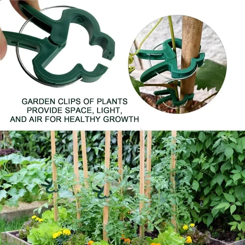 Plant Fixed Clips Reusable Greenhouse Bracket forFixing Stems of Flower Vine Vegetables Tomatoes Fastener Garden Supplies