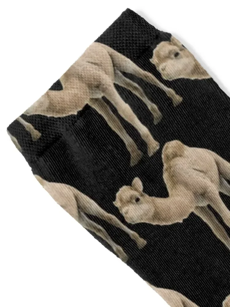 Cute Baby Camel -- 3D Socks sports and leisure luxury snow Women Socks Men's