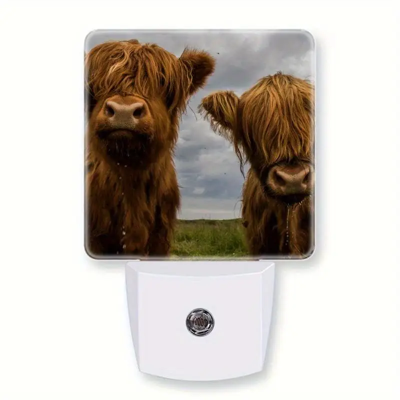 

Highland Cows Night Light Plug Into Wall with Dusk To Dawn Sensor Cute Nightlight for Kid Girls Boys Women Men Room Decor