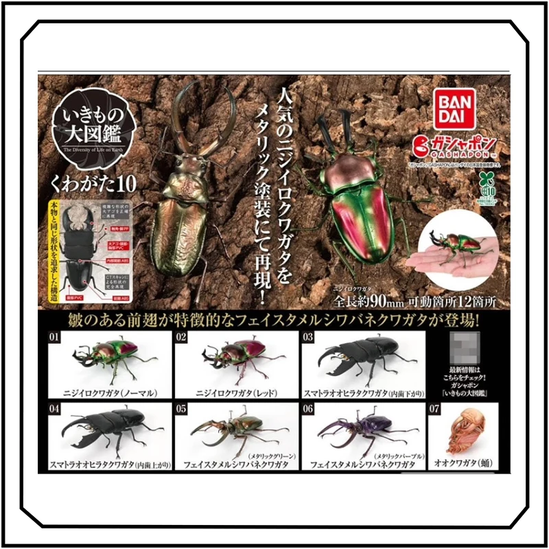 

Stag Beetle Chrysalides Gashapon Insects Series Desktop Ornament Keepsake Holiday Gifts Action Figure Model Toys