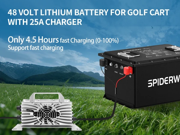 Golf Cart Lithium Battery Conversion Kit 48V 150Ah for Cushman Hauler 800/800X Cart, 6000+ Cycle, Support LCD Screen & Mobile APP & Bluetooth