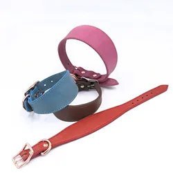 Simple and Fashionable Leather Greyhound Collar, Huibit Collar, Adjustable, Small and Medium Dog Collar, Pet Supplies