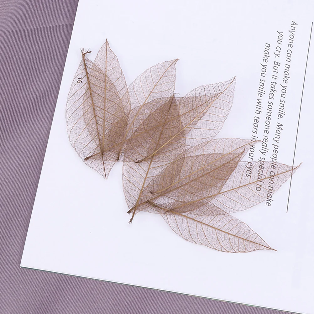 

40Pcs Handmade Veins DIY Craft Scrapbook Materials Wedding Cards Decoration Dried Flowers Specimen
