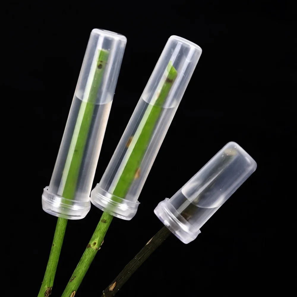 Plastic Floral Water Vials For Fresh Flowers Nutrition Preservation Tube Wedding Event Decoration Florist Supply Essential