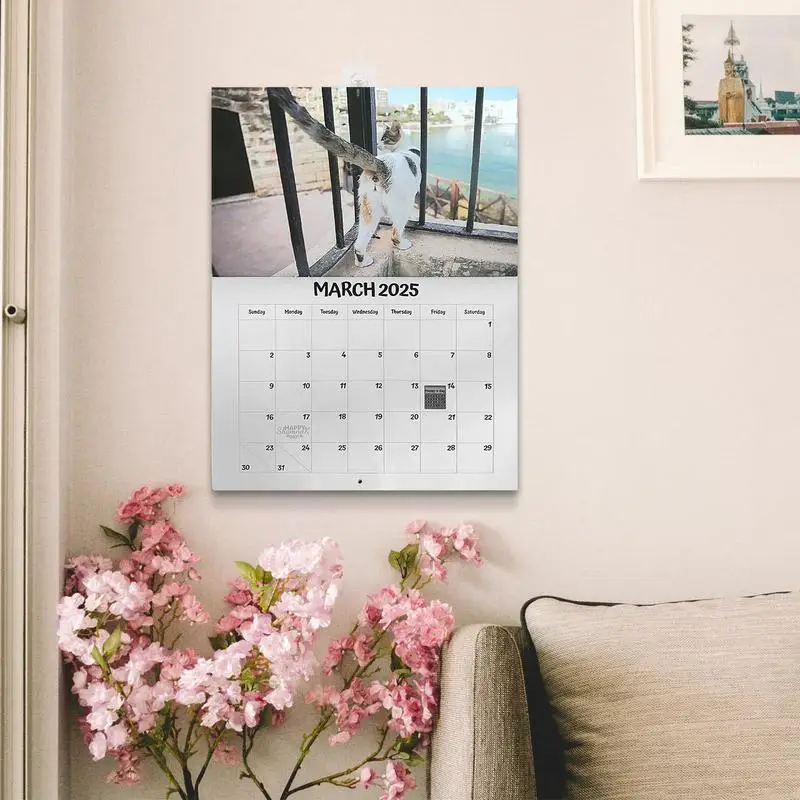 고양이 엉덩이 달력 이상한 고양이 엉덩이 달력 2025, 재미있는 고양이 홈 장식, 수직 월 달력 2025