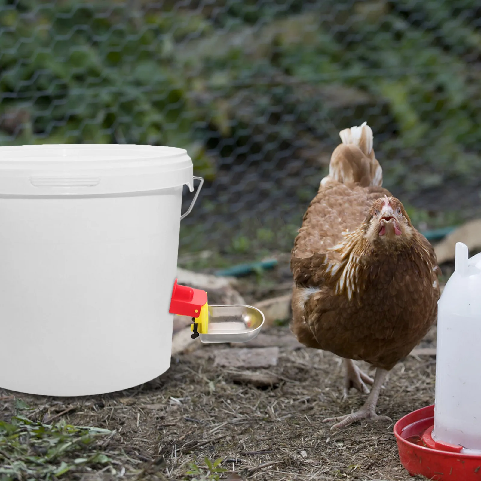 

Metal Poultry Automatic Waterer Stainless Steel Chicken Drinking Bowl Gravity Filling Water Feeder for Quail Ducks Chickens