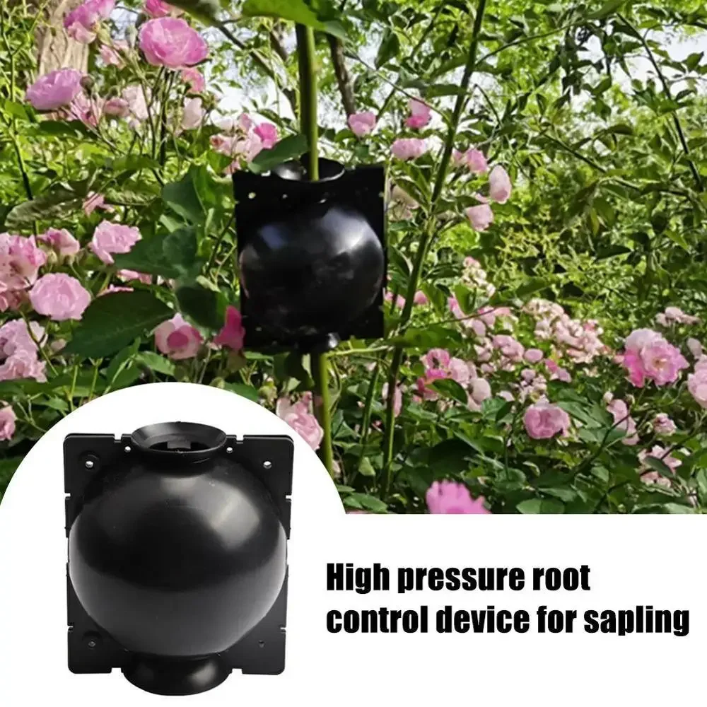 5pcs Plant Rooting Ball Grafting Rooting Box Breeding Case Plant Root Growing Box For Garden 5/8cm In Diameter planting tools