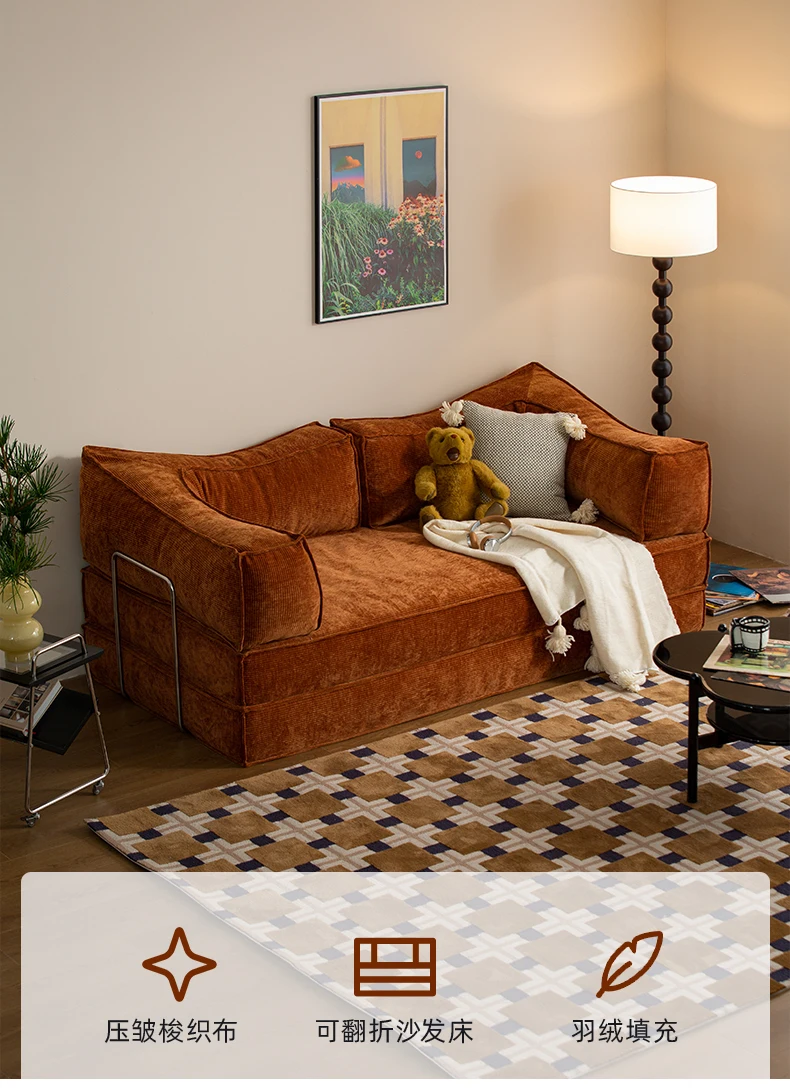 

Small apartment living room folding sofa bed