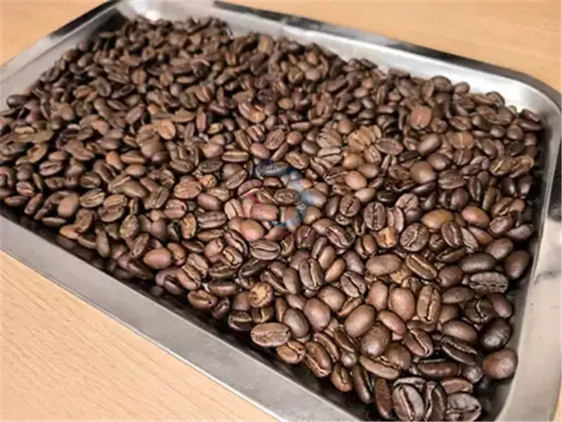 المنزلية الصغيرة التلقائي دوران 6.4L الفولاذ المقاوم للصدأ ماكينة تحميص القهوة الخبز ماكينة التحميص ديهيدراتور أكثر جفافا