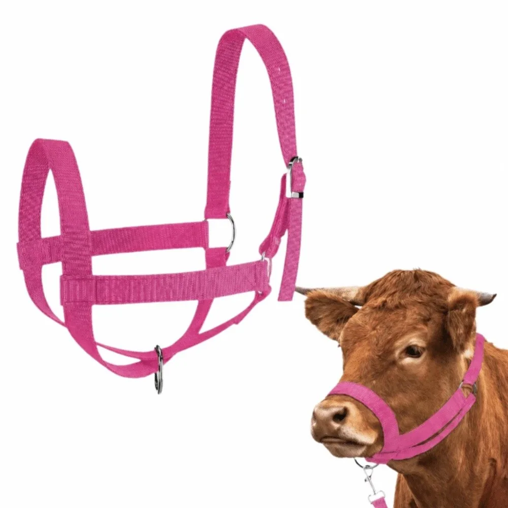 Adjustable Cow Halter with Lead Nylon Durable Horse Halter Comfort Fit Heavy Duty Cattle Halter Training Rope Harness