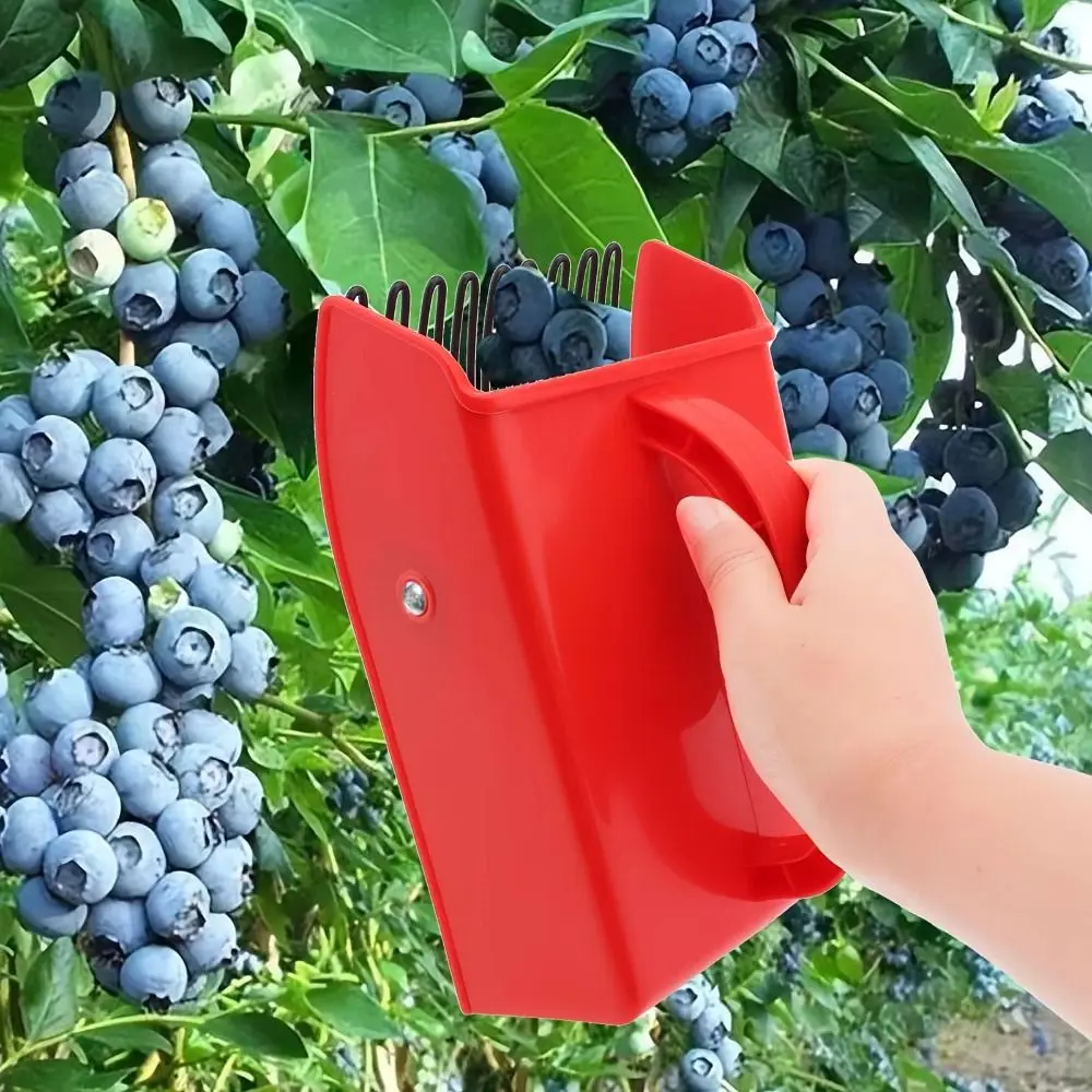 Picking Berry Harvester Scoop Metal Comb Rakes Huckleberry Picker Effective Picker Tool Garden Berry Picker Fruit Collecting