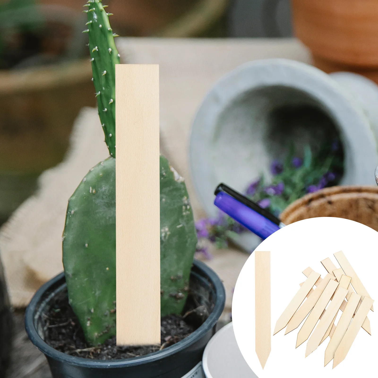 

50Pcs Garden Plant Markers Natural Wood Labels for Outdoor Flower Pots Rockery Lawn Decorative Plant Identification Signs