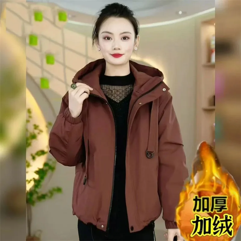 Winter Female Large Size 5XL Parkas Outwear European Women Fashion Solid Color Cotton Padded Coat Lady Hoodie Down Cotton Jacket