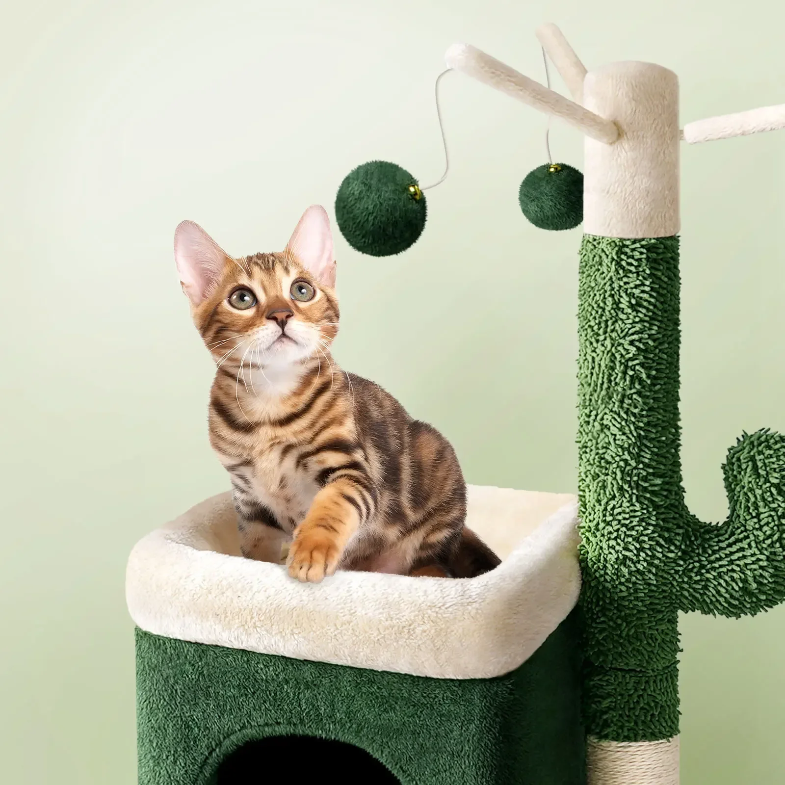 Cat\'s kennel, cactus cat climbing frame, cat tree, cat jumping ， pet bed