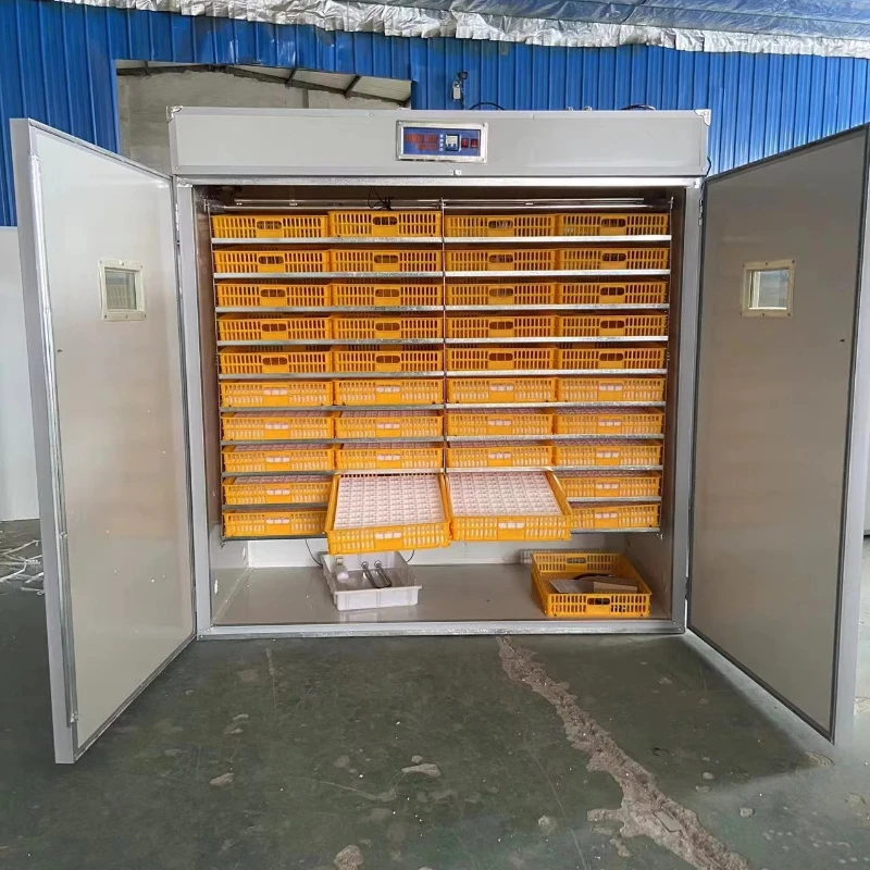 Solar Eggs Incubator in South Africa/egg Incubator Automatic