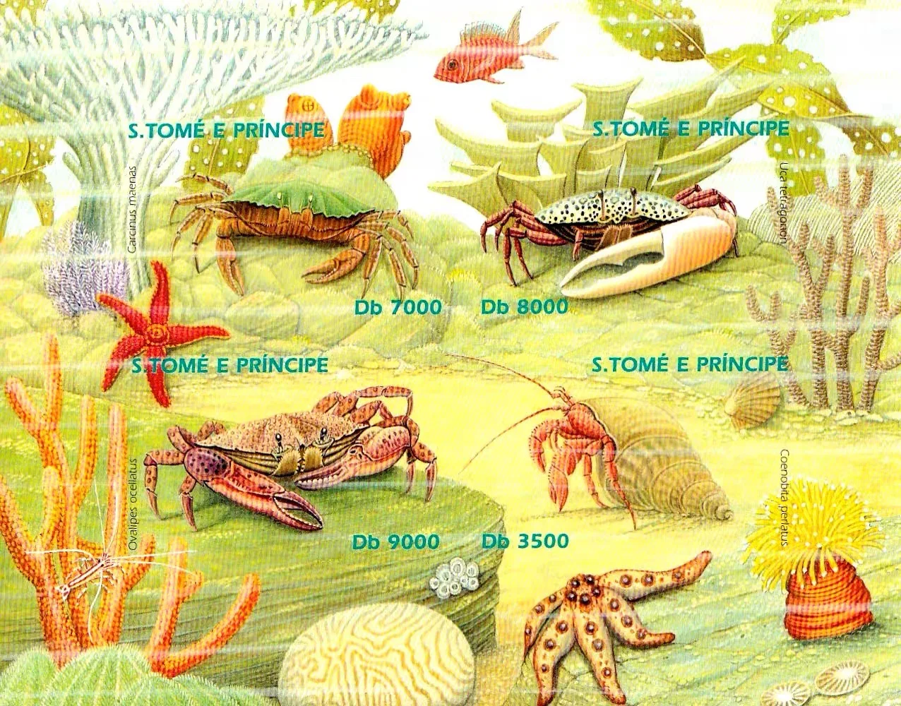 Sellos postales de Sao Tome y principio Y2002, cangrejo ermitaño marino, 1 hoja, 4 nuevos sellos postales coleccionables, Material para álbum de recortes