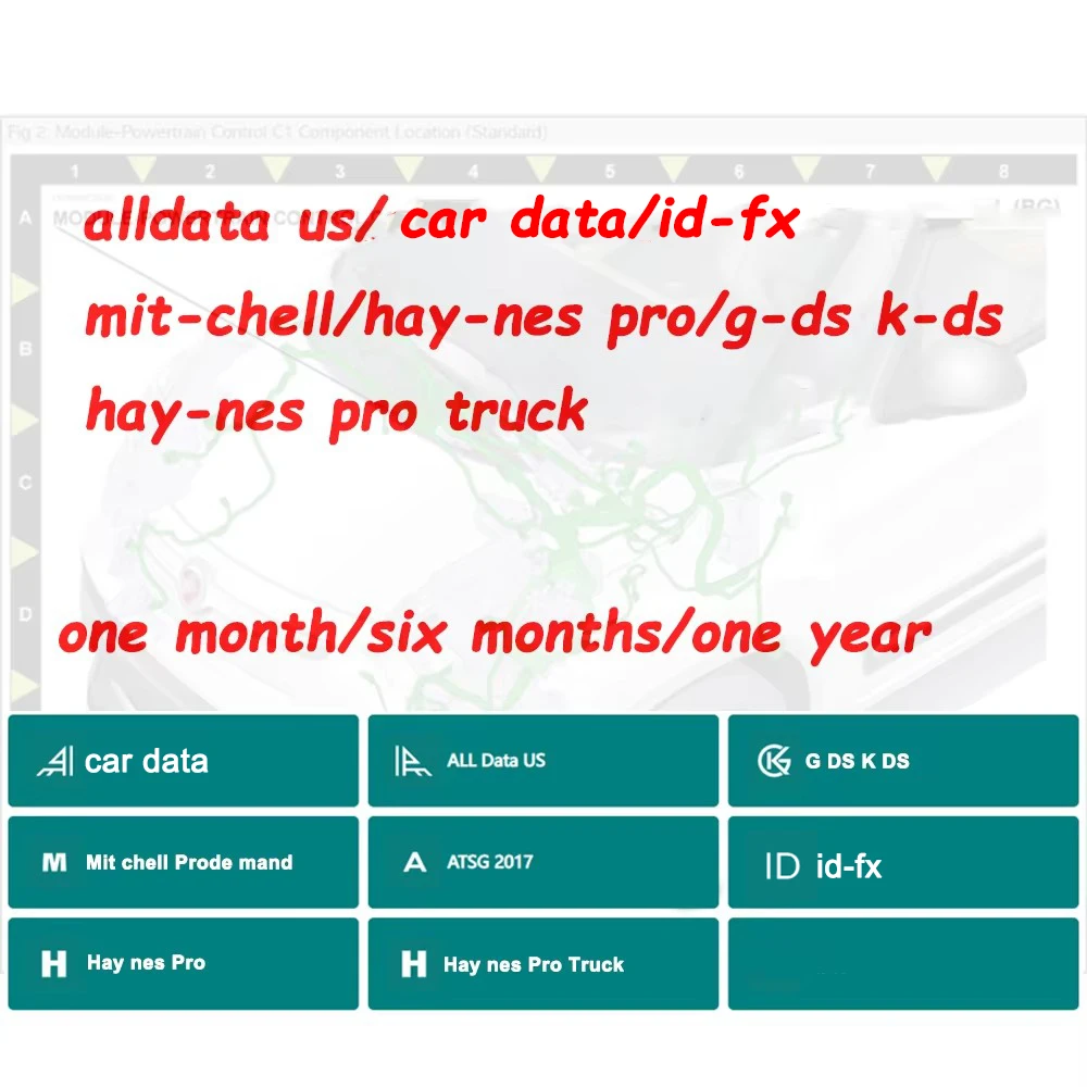 

Alldata 2025 Online Software New Hay-nes Pro Mit-chell Pro-demand Repair Automatic Update Support PC Webpage Android