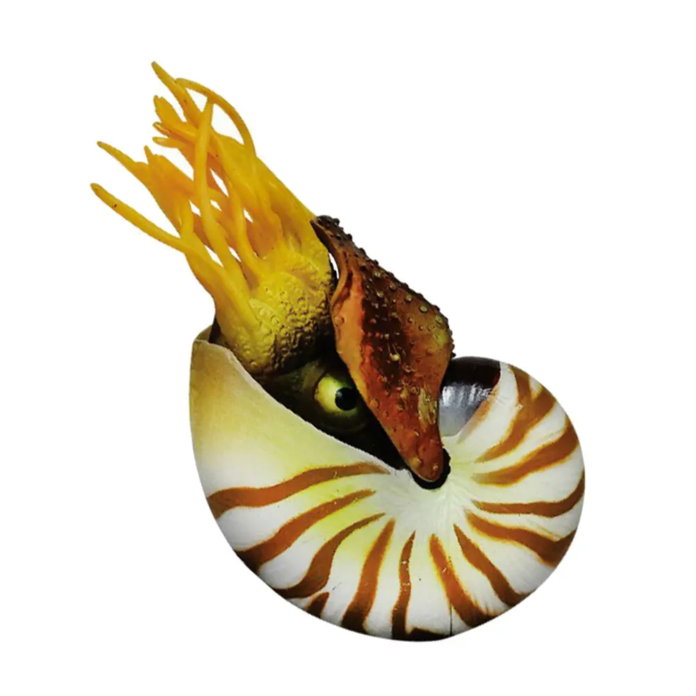 

Shell Decorations Simulation Nautilus Aquarium Fish Tank Decor Landscape Ornaments Home Decoration Sitting Room Bedroom Porch
