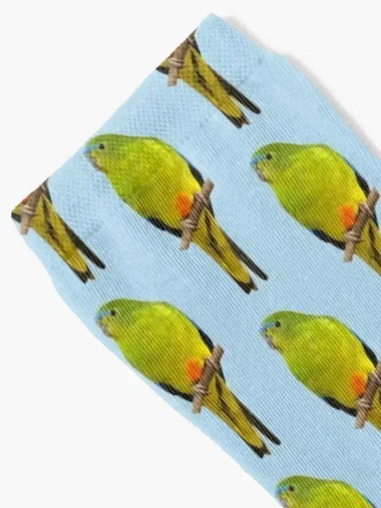 Orange-bellied Parrot 8 Socks tennis floor custom Thermal man winter Ladies Socks Men's