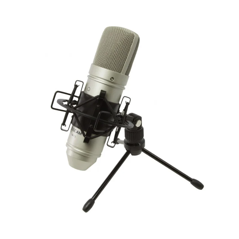 TASCAM TM-80 condenser recording microphone with a cardioid pickup pattern for home recording