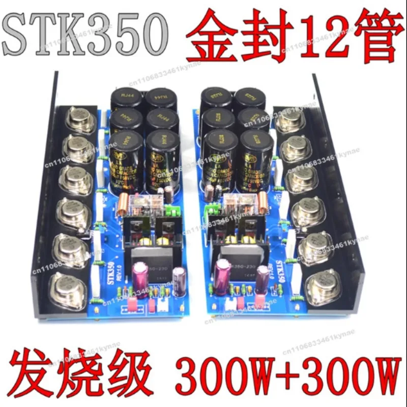 Suitable for T350 High Power Amplifier Board HIFI Fever Grade Gold Seal 12 Tube 300W + 300W Finished Board