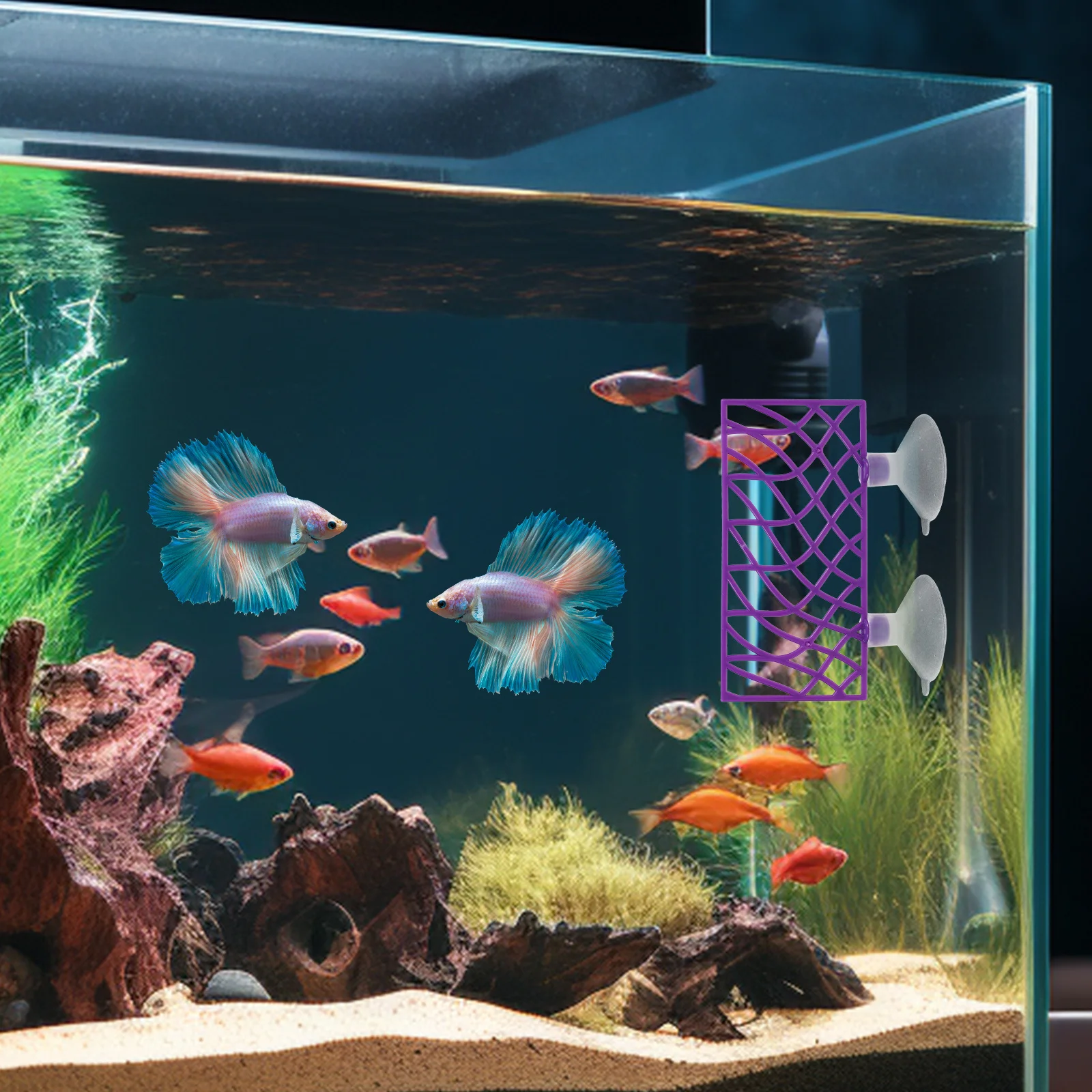 

1 set 1 Set Decoration Hollow Hideout Hollowed Platform Abs Material Easy Clean Unique Design Ornament Betta Supply Aquarium