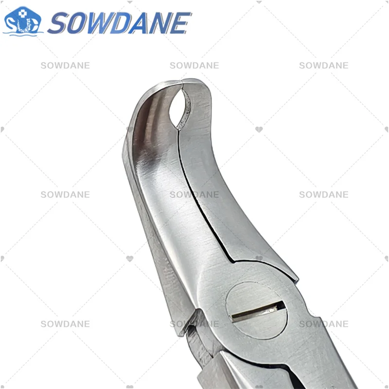 Dental Wisdom Extraction Plier Wisdom Distal Separation Forcep Wisdom Teeth Separating Tooth Dislocation Plier Tool Ortho Tool