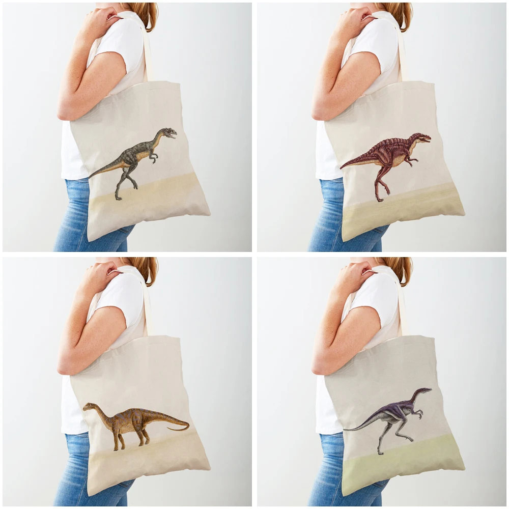 Bolsas de compras de dinosaurio Jurásico, bolso de viaje para niños de ambos lados, bolso de compras de lona con estampado de animales bonitos de dibujos animados, bolso informal