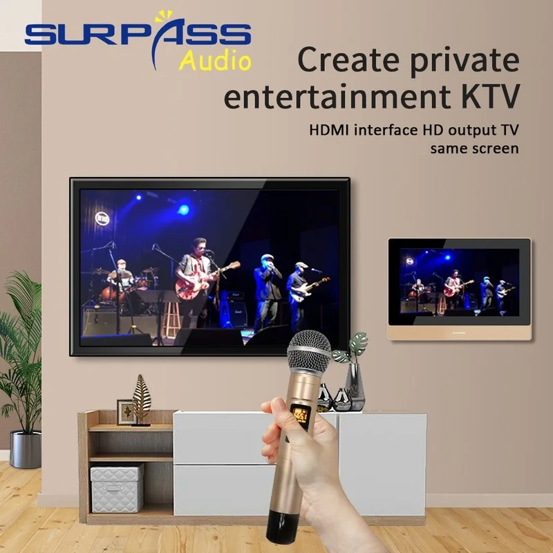 Famiglia Karaoke KTV System Home Audio amplificatore Spiker Karaoke Player con microfono