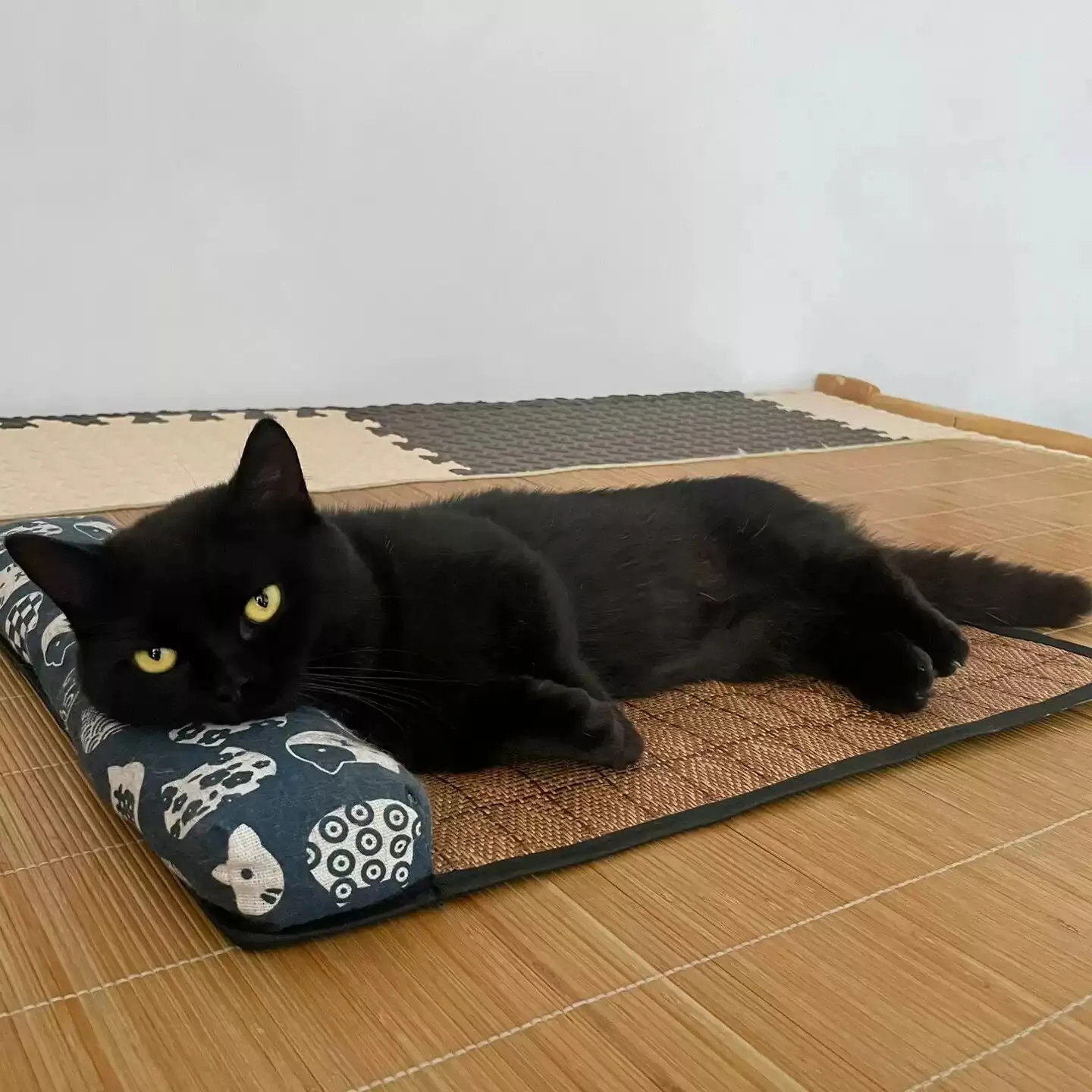 Thumbnail 2 - #27 Cooling Dog Mats List of Top Picks