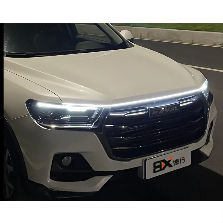 Car Front Grill Light Running Lamp for For Haval H3 H5 H6 H9 F5 F7 JOLION TANK 300 500 F7X H2 Dargo Chitu Xiaolong Max Cool Dog