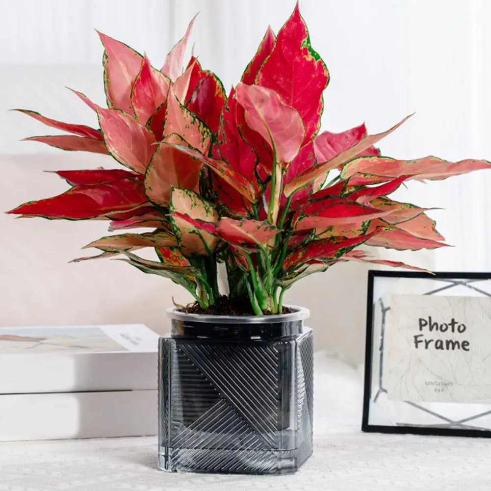 Automatic Plant Pot Travel Plant Pot Automatic Water-absorbing Flowerpot with Transparent Water Level Indicator for Indoor