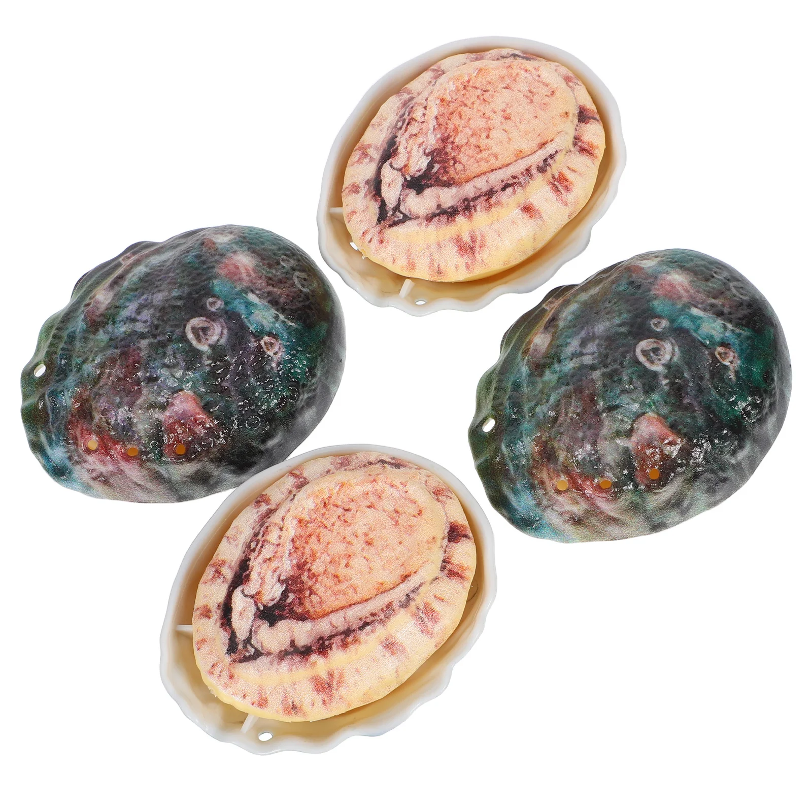 

4pcs Press to Abalone Shell Design Kids Outdoor Lightweight Safe Smooth Edges Reusable Summer for Kids