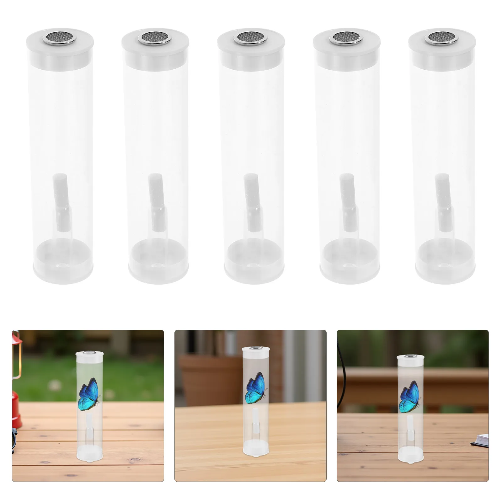 

10 set Collector Transparent Observation Tube Breathable Design Bug Viewer Outdoor Exploration Insect Storage Container For