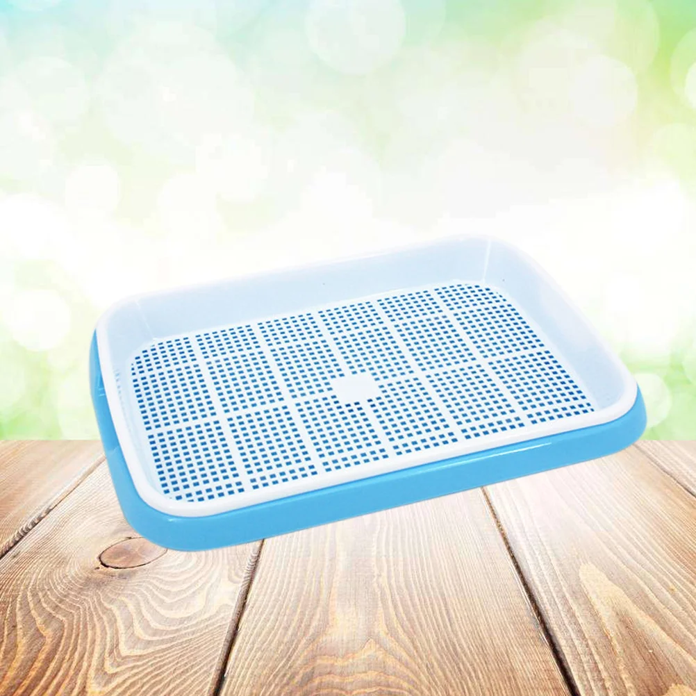 مجموعة صينية براعم ممتازة خالية من السماء من الدرجة الغذائية PP تنبت بذور متعددة صينية تخزين عالية معدل التراوح للفواكه #5