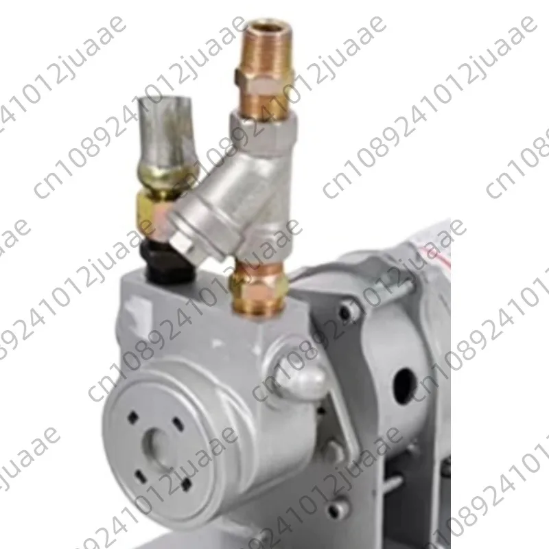 12V Liquefied Gas Air Pump Pour Pump 12 Volts