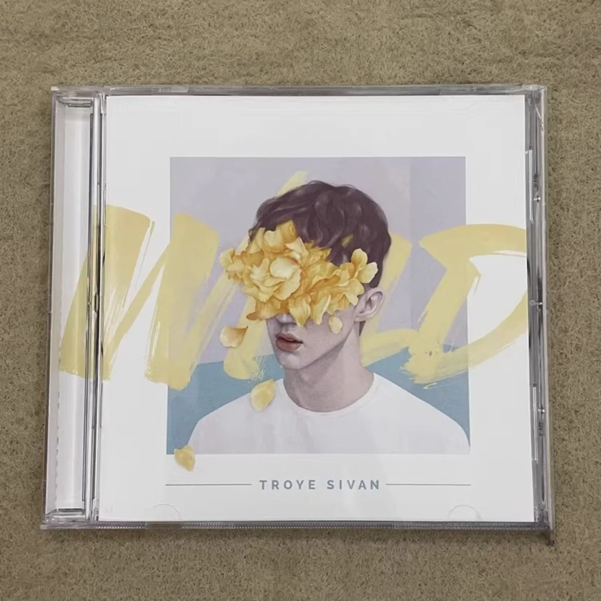 Troye Sivan Wild – Australian Pop Electronic Dreamy Male Vocals Youthful Ballad Poetic Atmosphere Music Collectible