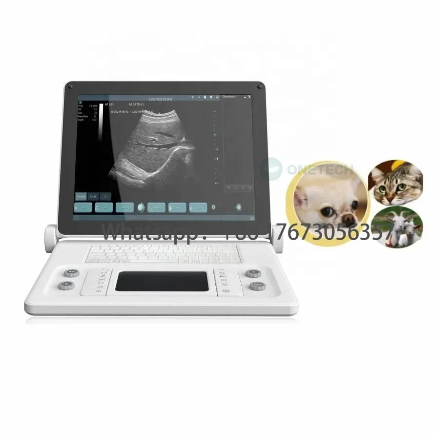 8 To 12 Hours Battery Continous Working Veterinary Ultrasound Tablet For Cats, Dog, Horse, Cow Portable Ultrasound Scan For Sale