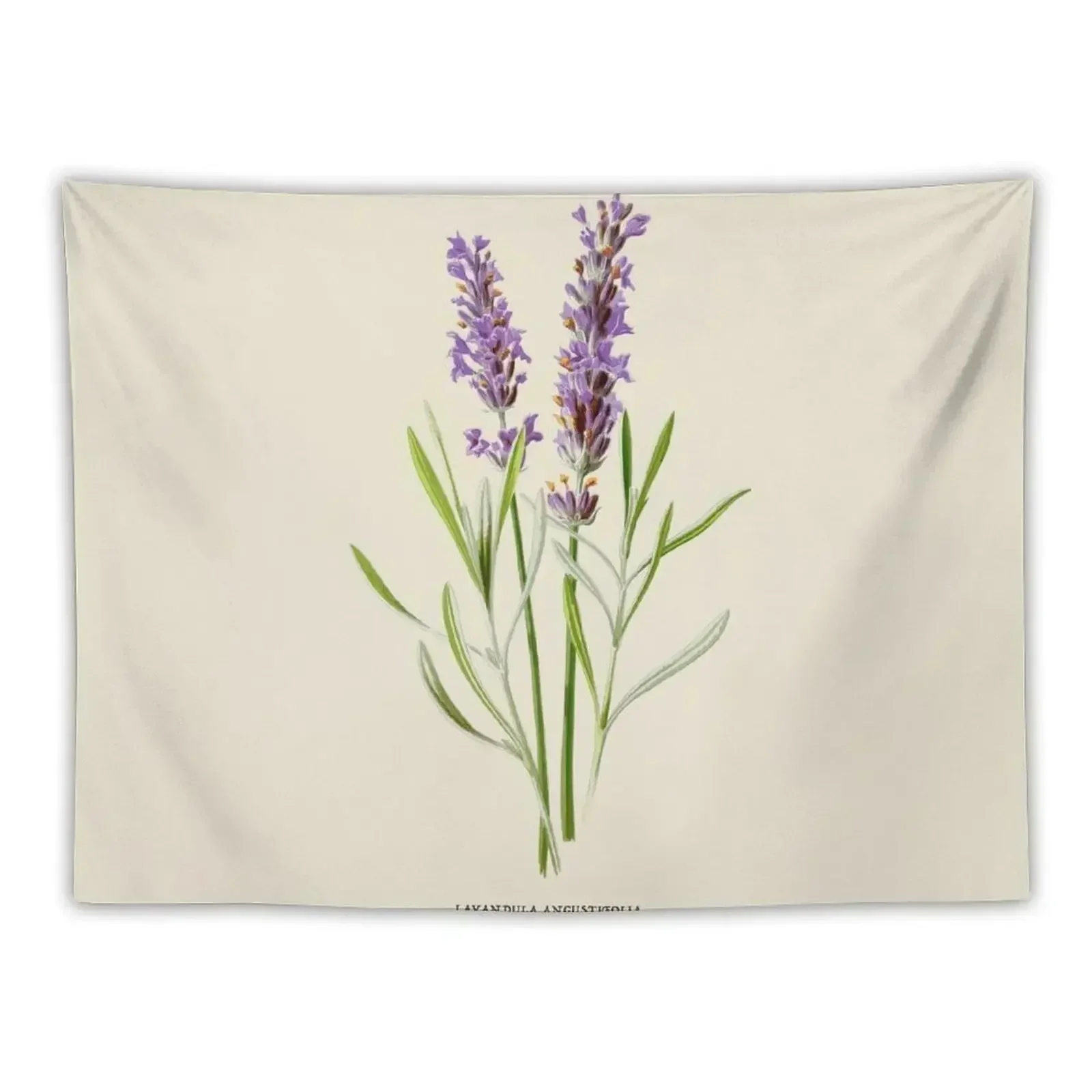 

Lavender Antique Botanical Illustration Tapestry Room Decore Aesthetic Decorations For Room Decor For Room Wallpaper Tapestry