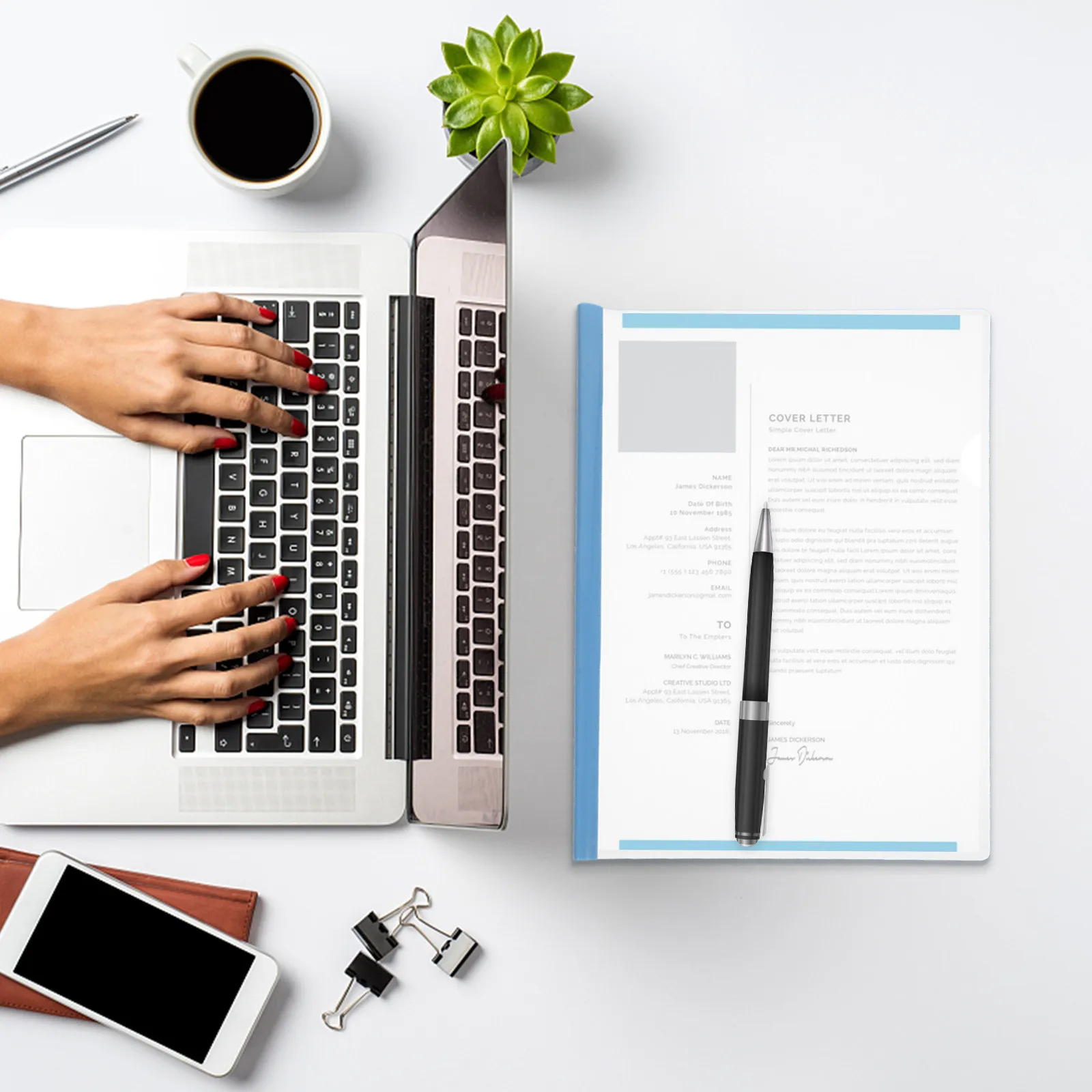 

Набор из 10 прозрачных папок с выдвижными кольцами-зажимами для документов формата А4, чеков, резюме, презентаций, портфолио