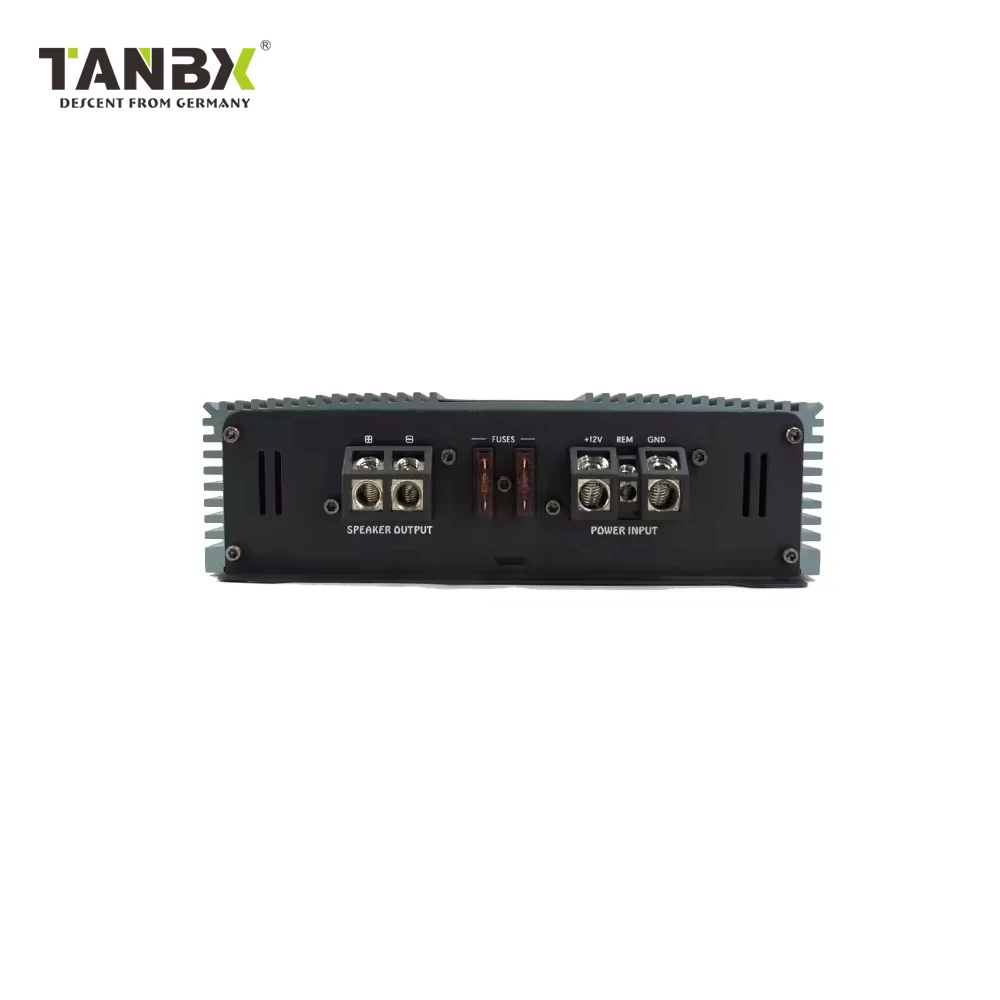 Car modification DIY car enthusiast feverBig Power Professional Class D Sound Digital Car Audio Unit 1 Channel for