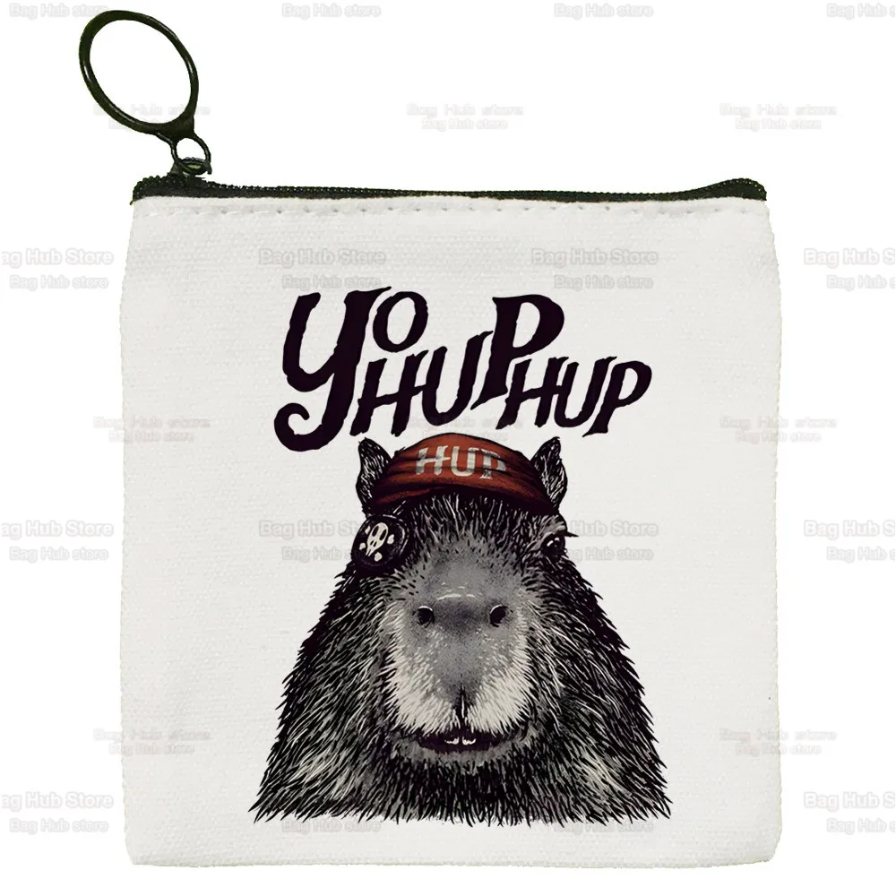 Capybara Capibara quadratische Tasche Münz geldbörse Aufbewahrung Cartoon keine Sorge cacy kleine Tasche Karten tasche Schlüssel tasche Münze Clutch Tasche Reiß verschluss